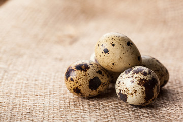 Obraz premium Quail eggs on sackcloth