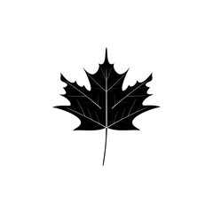 the maple leaf icon