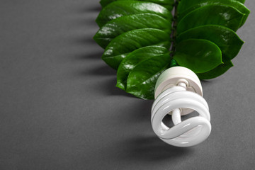 LED lamp with green leaf, ECO energy concept, close up. Light bulb on grey background. Saving  and Ecological Environment. Copy space.