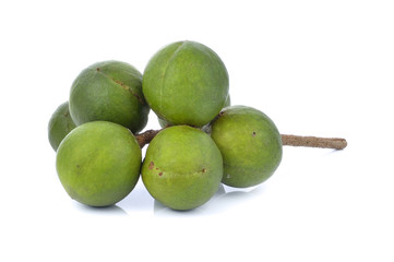 fresh Macadamia
