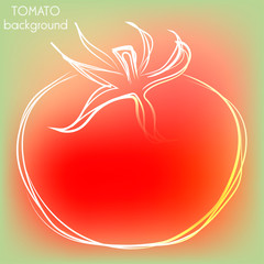 Background with outline tomato in modern interesting colors, vector illustration
