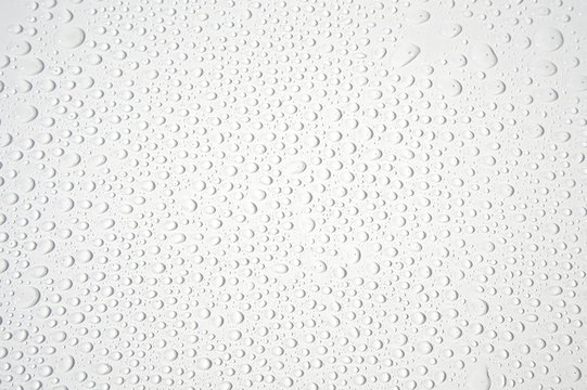 Wassertropfen auf wei&szlig;em Hintergrund