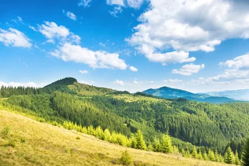 Foto op Plexiglas Groene zonnige heuvels © Pavlo Vakhrushev