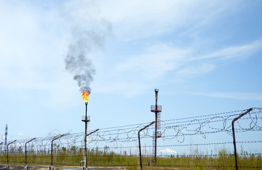 Oil refinery. Gas torch