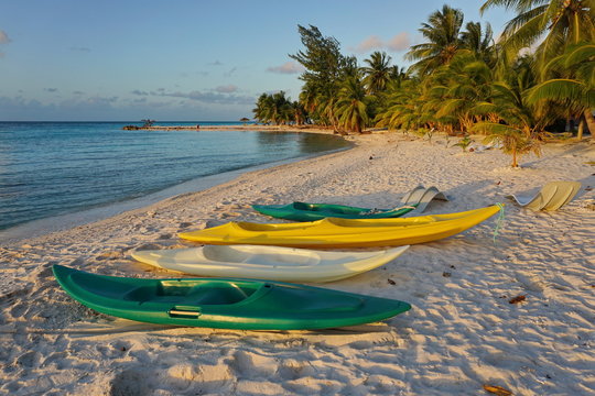 Kayaks on sandy tropical beach with coconut palm trees, atoll of Tikehau, Tuamotu archipelago, French Polynesia, south Pacific ocean