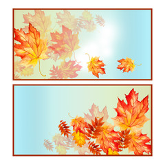 Set banners with colorful autumn leaves.