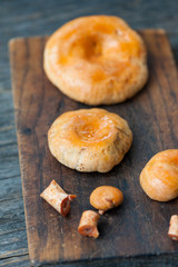 Saffron Milk Cap mushrooms