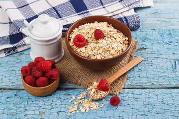 Portion of oatmeal in the bowl with berries