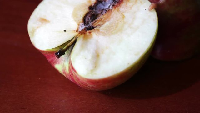Worm Crawls out of the Tainted Apple