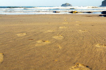 Footprints in the sand on Polzeath beach