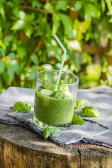 Fresh mousse cucumber celery basil