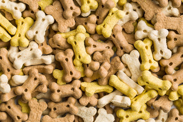 Dog food shaped like bones.