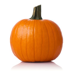 Close up of a pumpkin isolated on white background