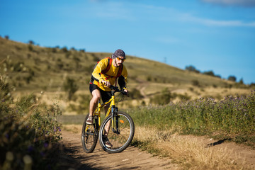Plakat Mountain Bike cyclist riding single track above sunset valley