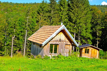 châlet dans forêt jura 2