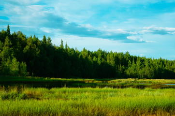 Landscape with river, pine green forest and blue sky