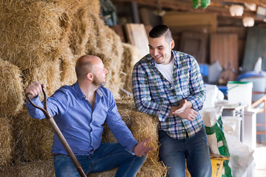 Two farmers working in barn