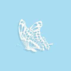 butterfly   icon