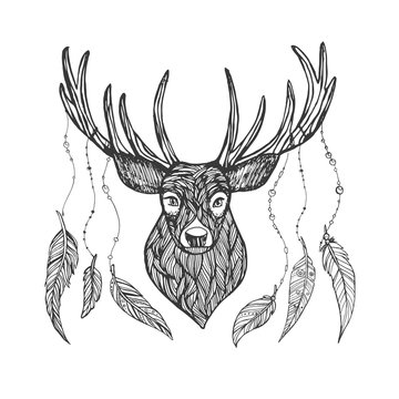 Textured line deer with feathers on horns. Doodle ink deer head full face