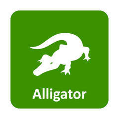 Alligator vector icon for web and mobile