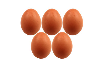 eggs on isolate and white background