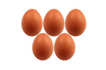 eggs on isolate and white background