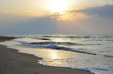 Morning on the beach