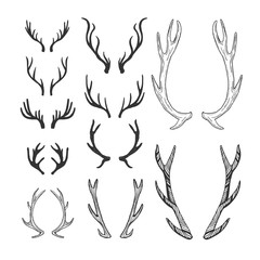 Set of hand drawn deer horns black on the white background, silhouette of antlers