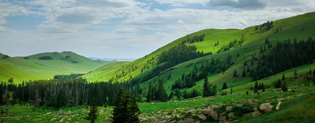 Gordijnen Green Mountain Landscape in Mongolia © ZoomTeam