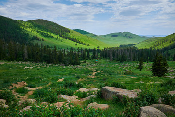 Green Mountain Landscape in Mongolia