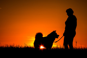 Silhouette of a woman with her Akita Inu dog on a meadow, golden