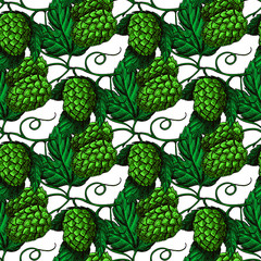 Hop vector seamless pattern. Hand drawn artistic beer green hopes with leaves on white background. Vintage wallpaper. Great drawing decor for oktoberfest or beer packaging