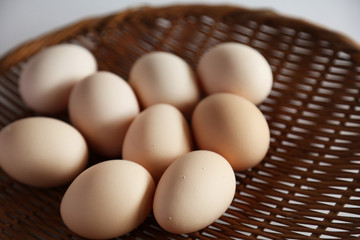 産みたての卵