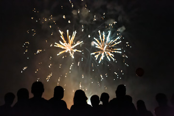 Crowd watching fireworks