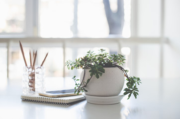 Home plant, business notepad and smartphone in backlight 