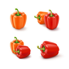 Vector Set of Colored Orange and Red Sweet Bulgarian Bell Peppers, Paprika Isolated on White Background
