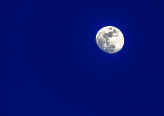 Full moon in front of a dark blue morning sky.