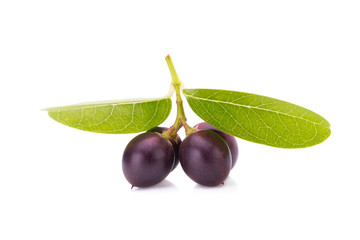 Carunda or Karonda on white background