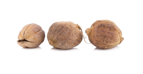 Clustered Cardamom, Camphor Seed