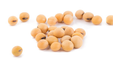 soybean isolated on white background