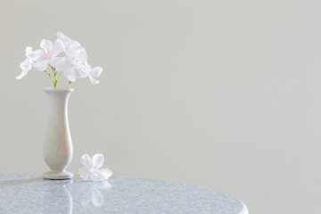 white flowers in a vase