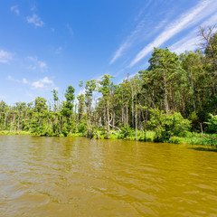 slowinski landscape