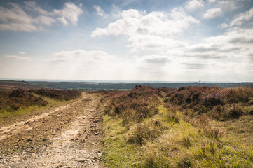 A track leading south off Blakey moor in the North Yorkshire Moors, England