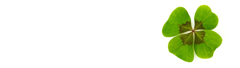 Kleeblatt - Glücksklee - Textfreiraum