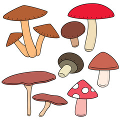 vector set of mushroom