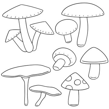 vector set of mushroom