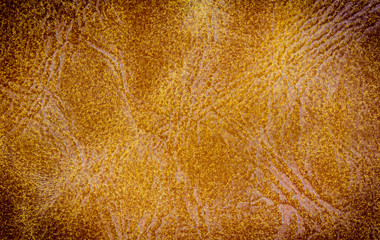 texture background of leather