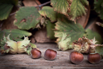 Hazelnuts