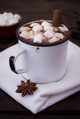 Mug of Hot Chocolate