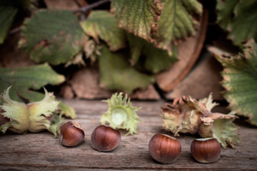 Hazelnuts